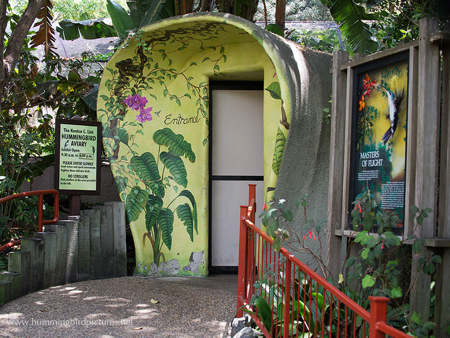 The arched entrance to the San Diego Zoo Hummingbird Aviary. A painted scene decorated the structure.