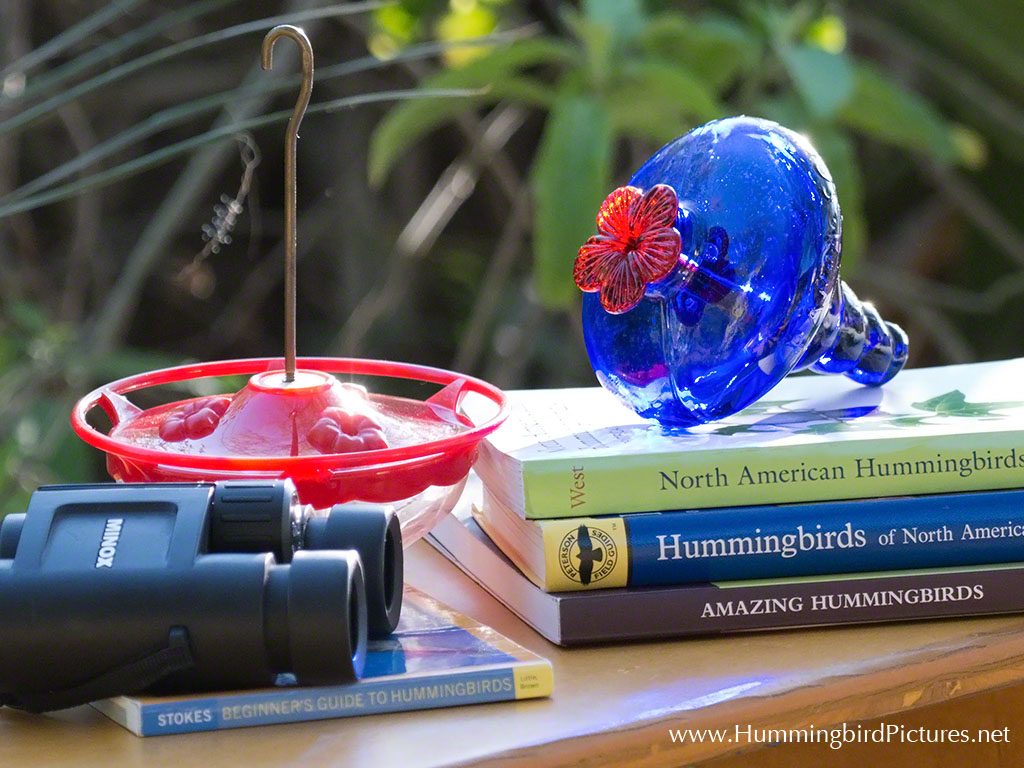 Hummingbird gifts on display include books, feeders, and binoculars