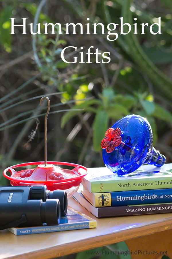 Examples of hummingbird gifts