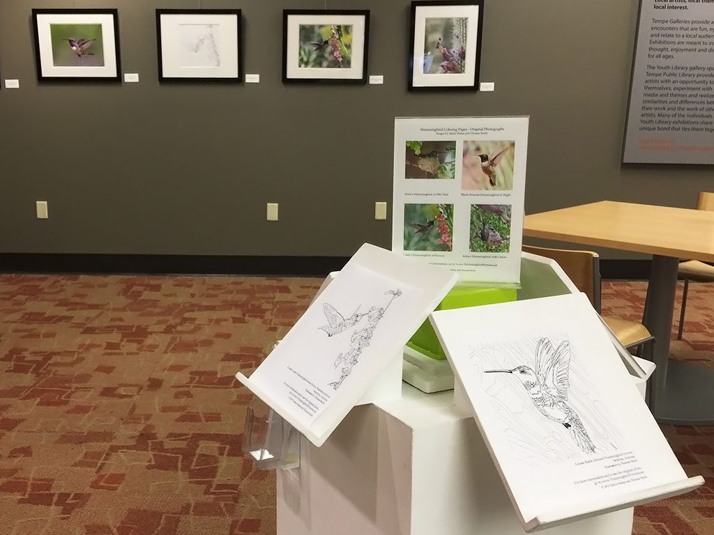 Hummingbird coloring pages by T.A. Strich displayed on a kiosk