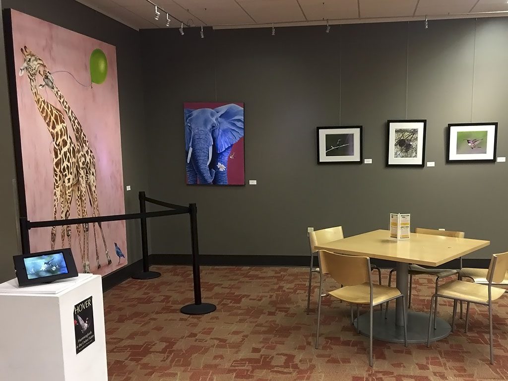 An installation view of the It's a Wildlife show at the Tempe Public Library